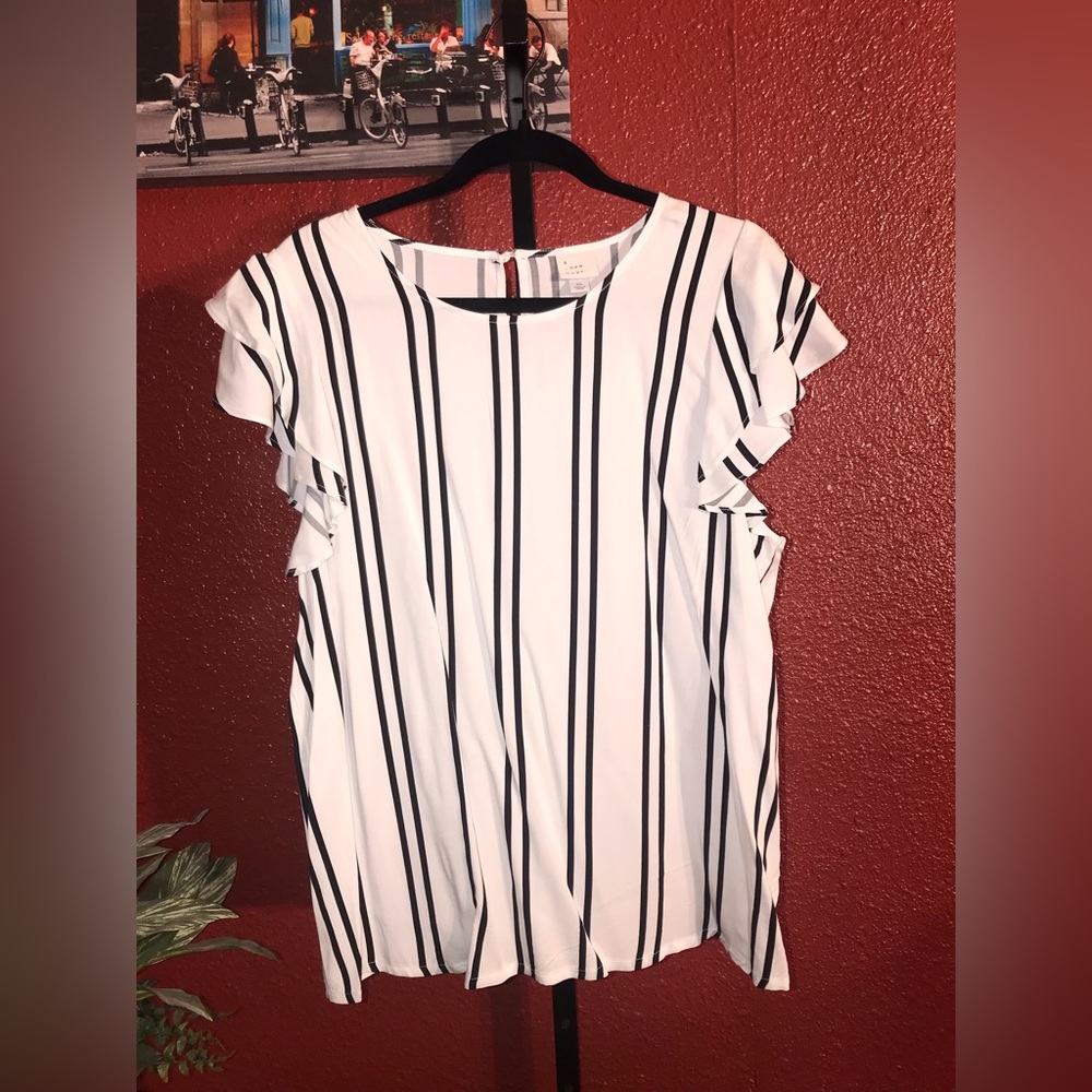A . New Day. XL. White with double black stripes.